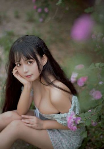 四面虎影最新播放网址_BD国语HD在线观看