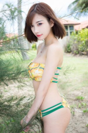 刘老根4电视剧免费观看完整版_1080P在线视频播放